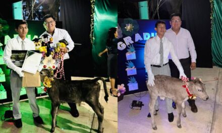 Insólito y emotivo: estudiante de secundaria recibe un becerro como regalo de clausura en Misantla