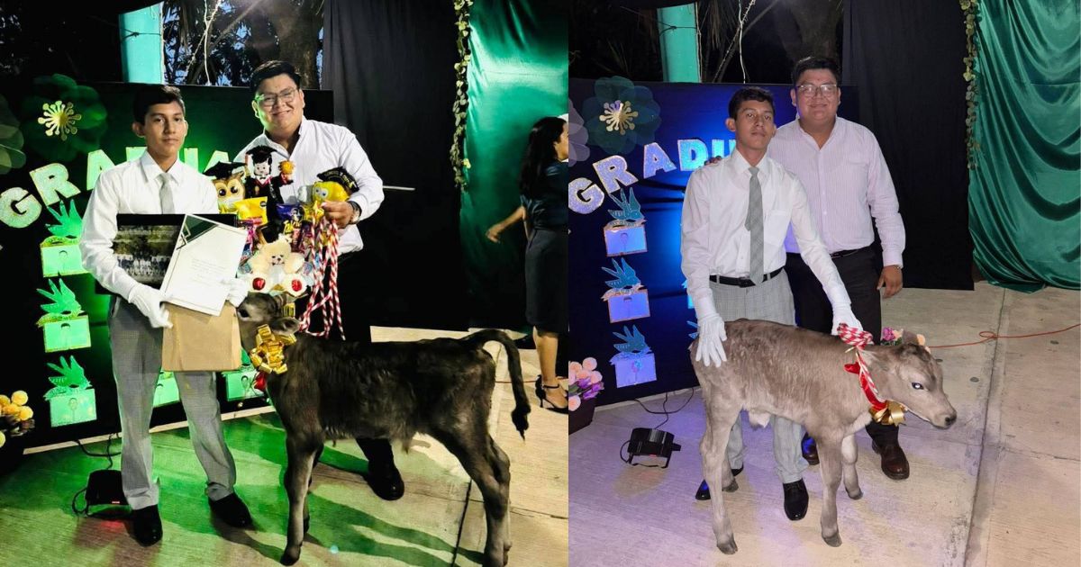 Insólito y emotivo: estudiante de secundaria recibe un becerro como regalo de clausura en Misantla