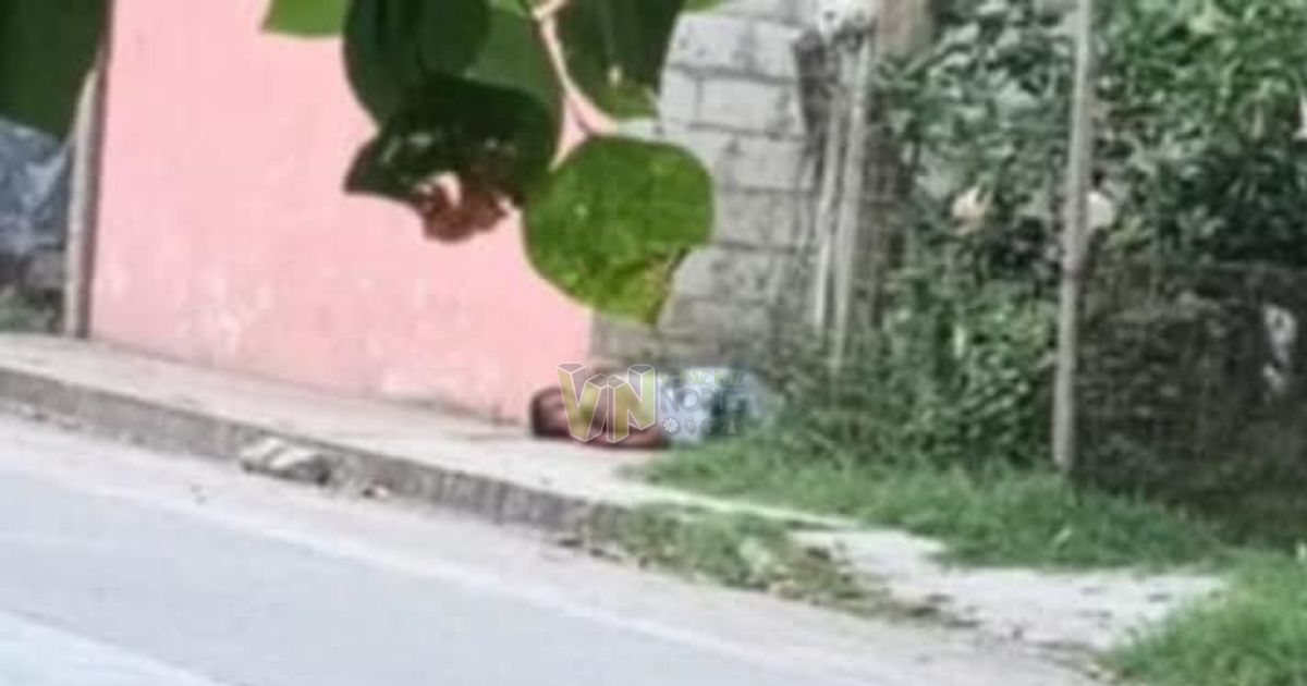 Álamo: Encuentran a «El Charly» sin vida