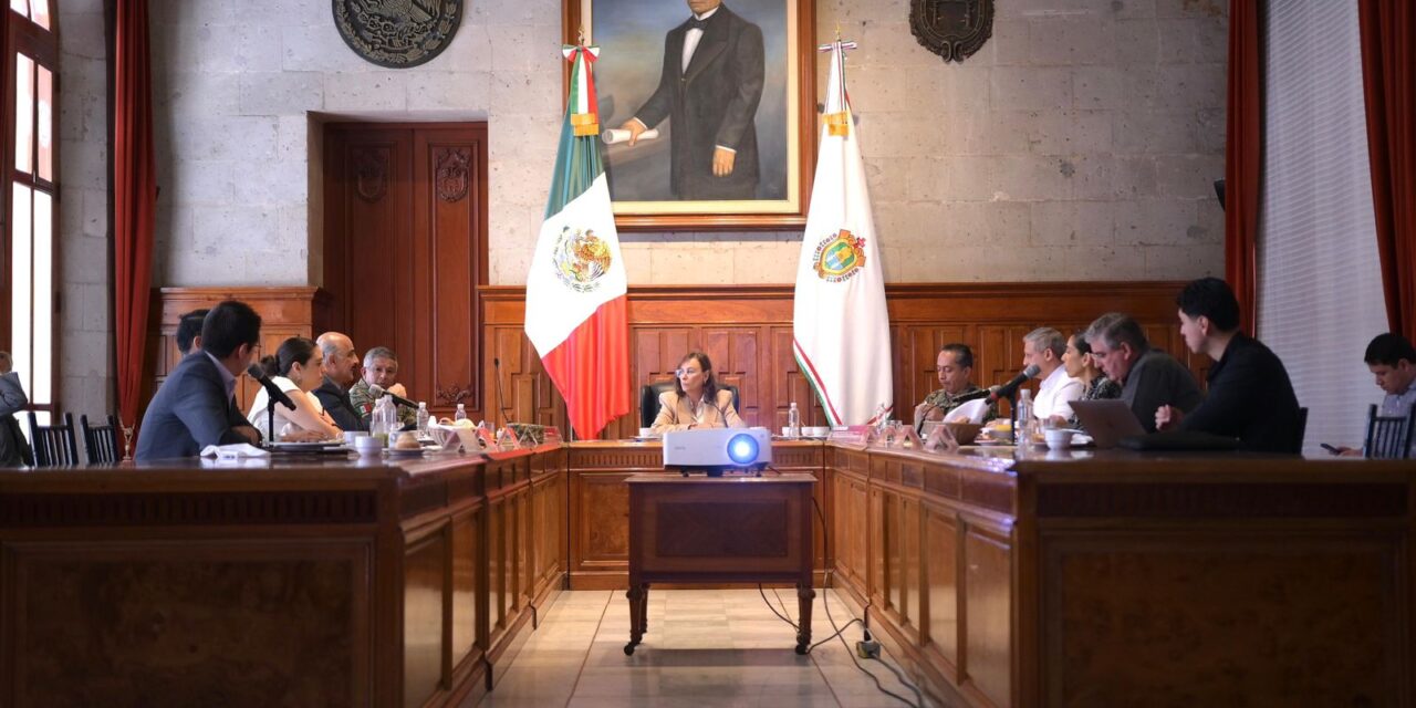 Mesa de Coordinación Estatal de Construcción de Paz y Seguridad: Resultados para Veracruz Norte