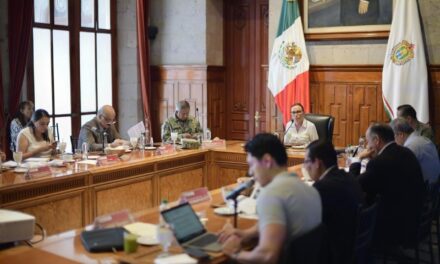 Resultados para Veracruz Norte de la Mesa de Coordinación Estatal de Construcción de Paz y Seguridad