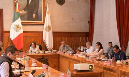 Mesa de Coordinación Estatal de Construcción de Paz y Seguridad