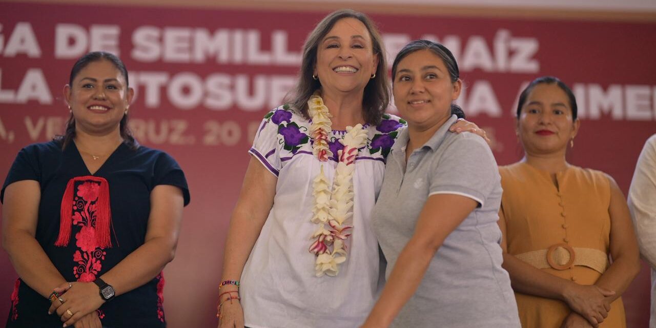 Entrega semilla mejorada en beneficio de municipios de Veracruz Norte