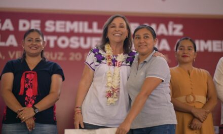 Entrega semilla mejorada en beneficio de municipios de Veracruz Norte