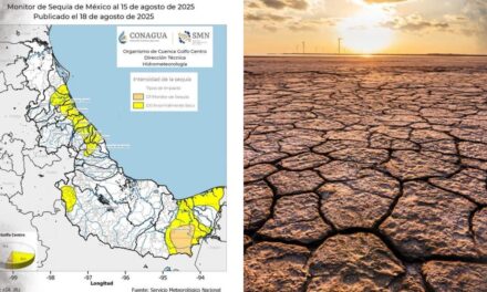 Municipios de Veracruz Norte catalogados como “anormalmente secos”
