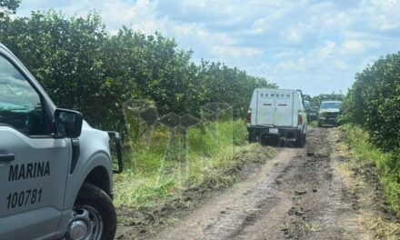 Hallan cementerio clandestino en Tepetzintlilla: cuatro cuerpos recuperados y diez fosas detectadas