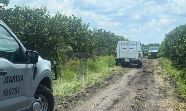 Hallan cementerio clandestino en Tepetzintlilla: cuatro cuerpos recuperados y diez fosas detectadas