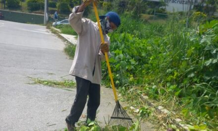 Se intensifica la atención de áreas verdes y recolección de basura en Tuxpan