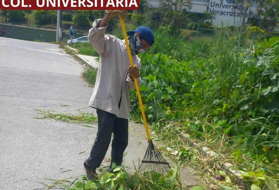 Se intensifica la atención de áreas verdes y recolección de basura en Tuxpan