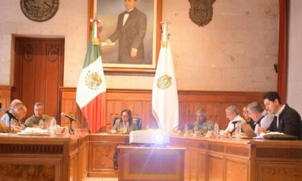 Mesa de Coordinación Estatal de Construcción de Paz y Seguridad: Resultados para Veracruz Norte