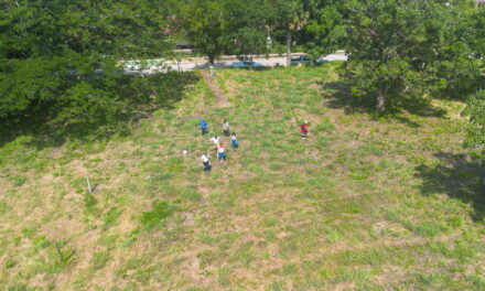 Después de 36 años, construirán plantel propio de TEBAEV en Potrero del Llano