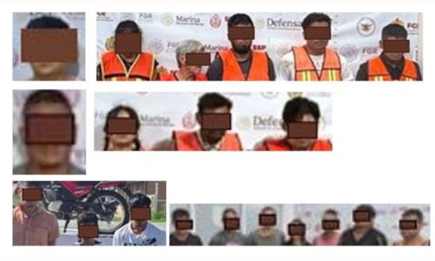 Resultados de los operativos de cateo realizados en el Estado Veracruz