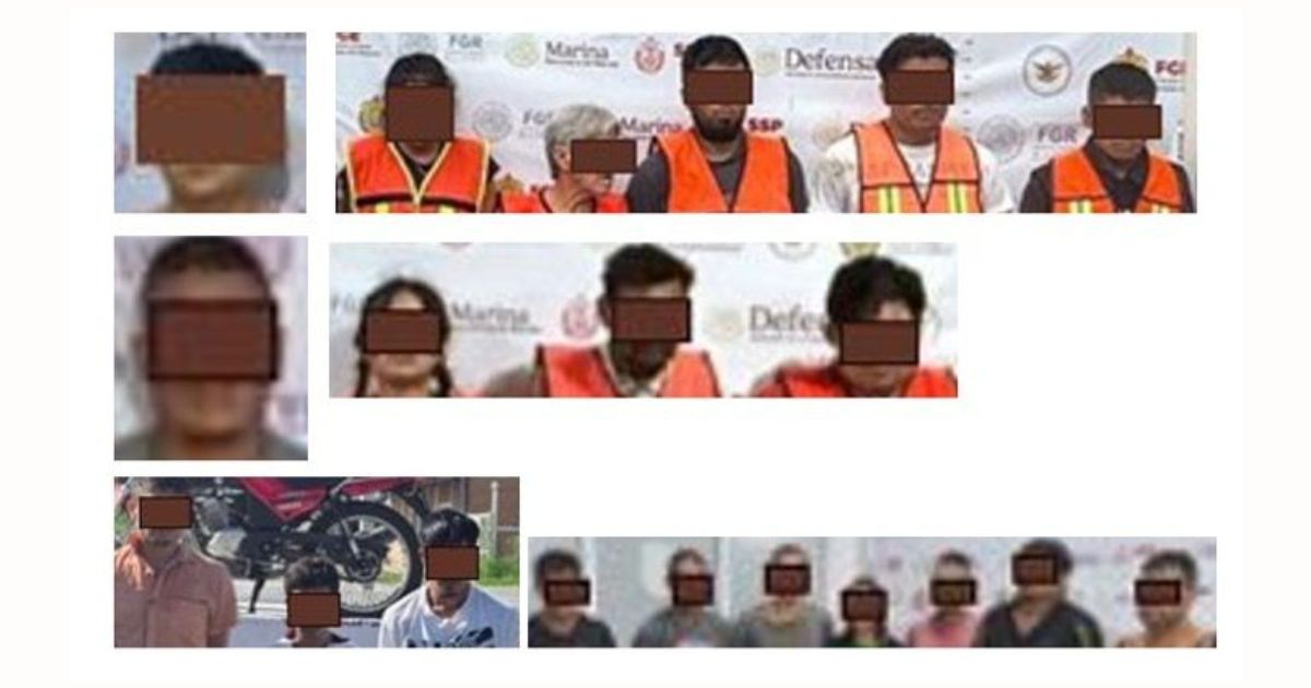 Resultados de los operativos de cateo realizados en el Estado Veracruz