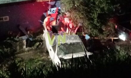 Conductor sale de la carretera, cae y derriba barda en Álamo