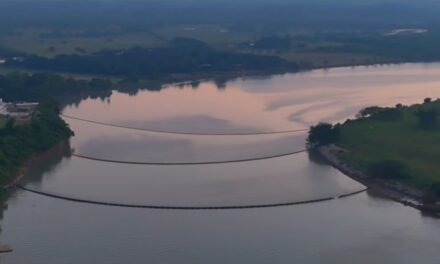 PEMEX concluye reparación de ducto en Álamo: Avanzan las tareas de contención y recolección del material derramado