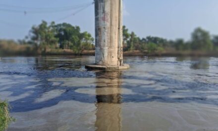 Álamo: Derrame de hidrocarburo afecta el Xúchitl