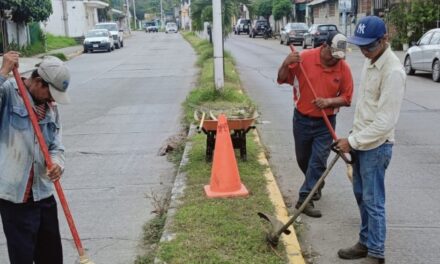 Cuadrillas de Parques y Jardines redoblan esfuerzos realizando chapeo, poda y desbroce en áreas verdes de la ciudad