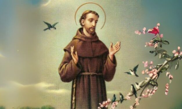 San Francisco de Asís: El Patrono de los animales