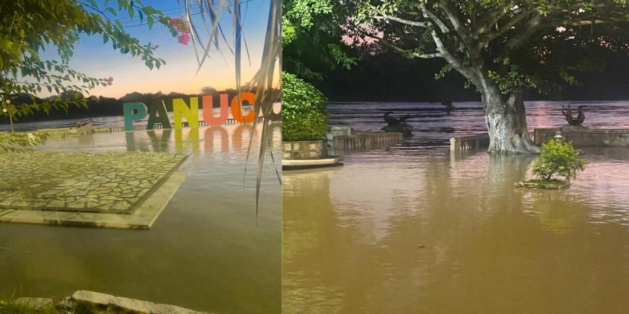 ¡El río Pánuco alcanzó los 7.64 metros!: Autoridades recomiendan extremar precaución