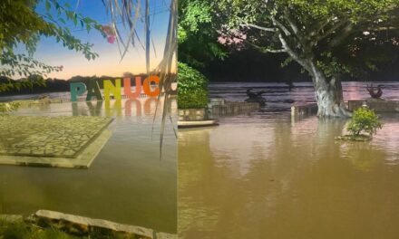 ¡El río Pánuco alcanzó los 7.64 metros!: Autoridades recomiendan extremar precaución