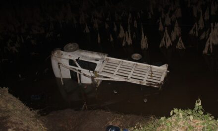 Camioneta cae a un estanque en Tantoyuca: tres personas perdieron la vida y ocho resultaron lesionadas