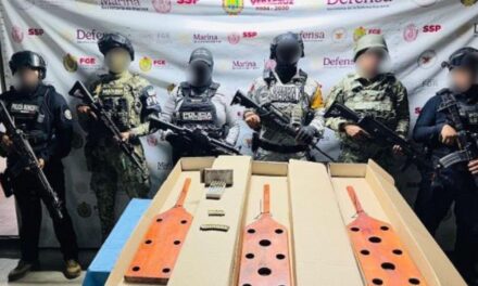 Acción coordinada en Barrio del Naranjo: fuerzas federales y estatales realizan cateo en Papantla