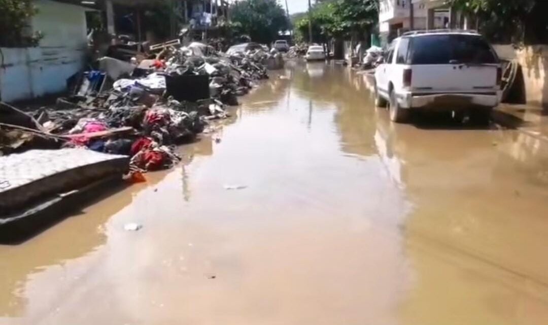  Poza Rica: aparecen gusanos ‘Cola de Rata’ en el lodo de la colonia Palma Sola