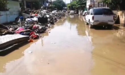  Poza Rica: aparecen gusanos ‘Cola de Rata’ en el lodo de la colonia Palma Sola