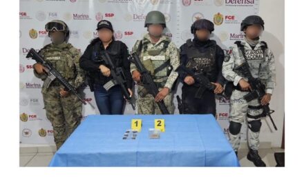 Tempoal: Aseguran sustancias ilícitas en Cateo