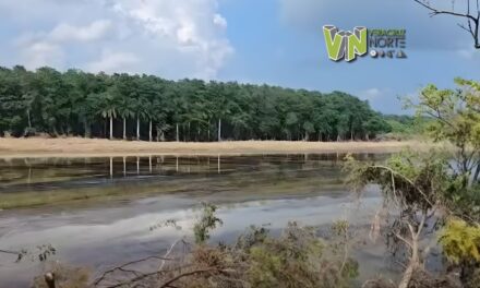 SEMAR y Comunidad Portuaria coordinan acciones para contener derrame de hidrocarburo en el río Tuxpan