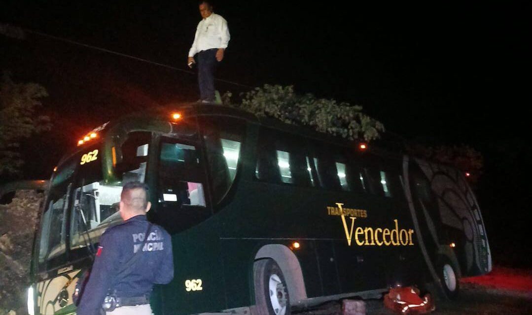 Autobús se sale de la carretera en Platón Sánchez