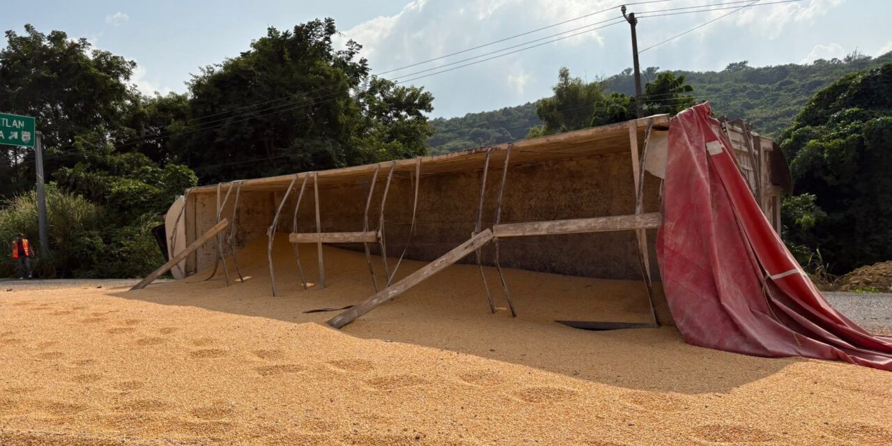 Vuelca tráiler con alimento para cerdo en Tihuatlán