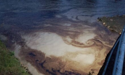 Derrame de hidrocarburo en el Río Cazones: suspenden suministro de agua en Poza Rica