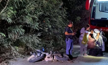 Motociclista fallece tras ser atropellado en la México-Tuxpan