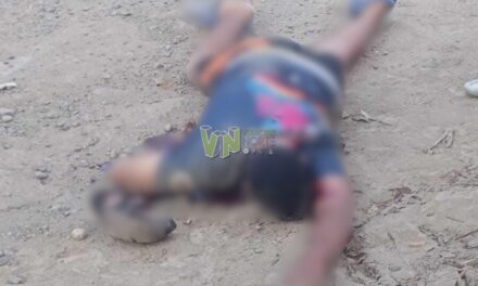 Joven es asesinado en la carretera Álamo-Úrsulo Galván