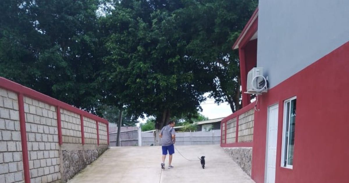 Éxito en Coatzintla: El Centro de Bienestar Animal mantiene jornadas permanentes de esterilización