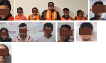 Resultados de los operativos realizados del 01 al 07 de diciembre en el estado de Veracruz