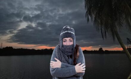 Alerta Gris en Veracruz: Frente frío 30 traerá evento de Norte violento y marcado descenso de temperatura