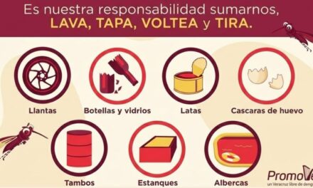 Inicia jornada de descacharrización en Chinampa para combatir la proliferación de mosquitos