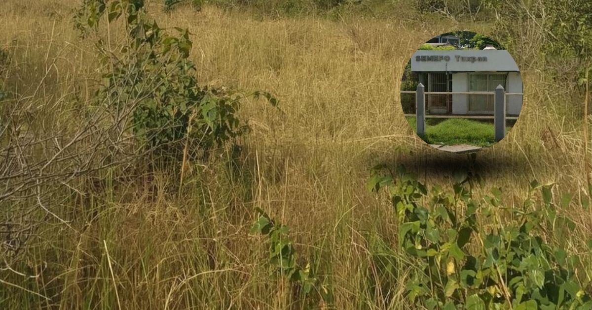 Localizan restos óseos en límites de Tuxpan y Álamo