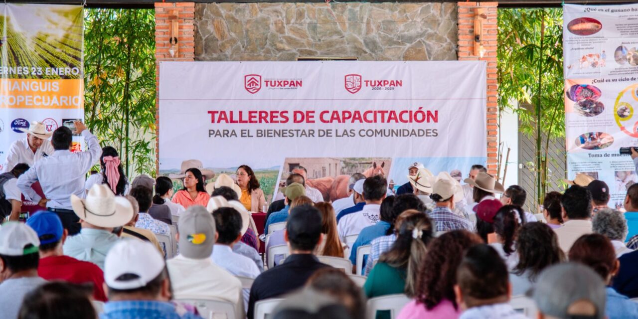 Refuerza Ayuntamiento de Tuxpan la lucha en contra del gusano barrenador