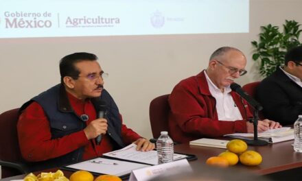 SADER y Sedarpa anuncian Plan para recuperar la citricultura en Veracruz Norte