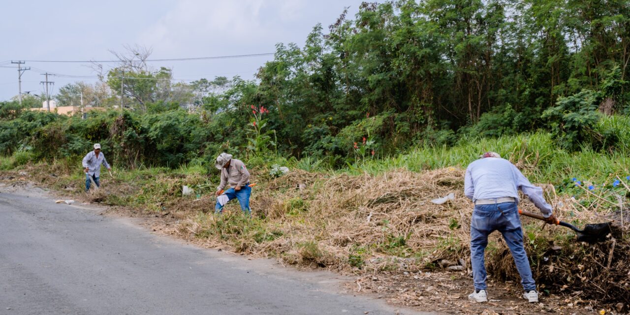 Tuxpan: Intensifican labores de limpieza en accesos a la playa previo a Semana Santa
