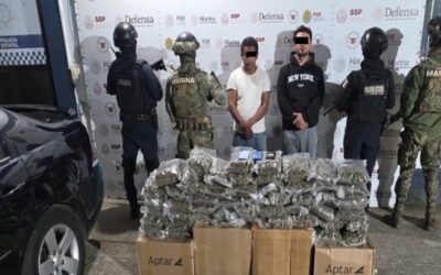 Durante el fin de semana: SSP decomisa más de 28 kilos de marihuana y 147 dosis de diversos estupefacientes