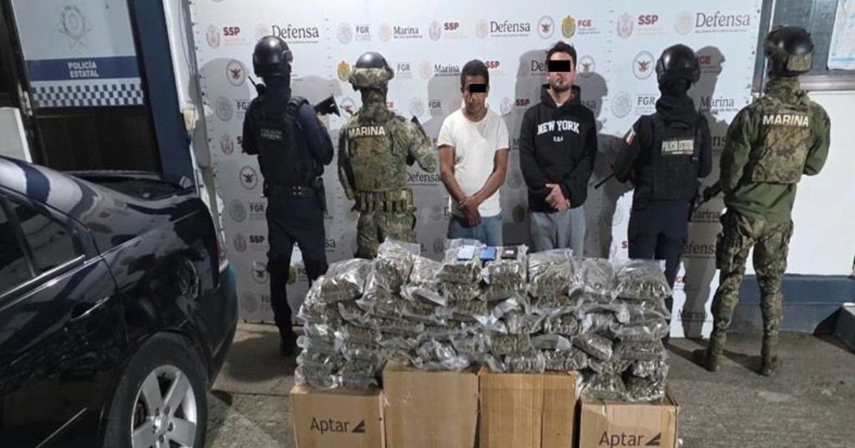 Durante el fin de semana: SSP decomisa más de 28 kilos de marihuana y 147 dosis de diversos estupefacientes