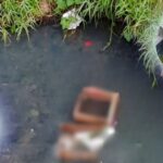 Localizan feto dentro de una caja de madera en arrollo de Coatzintla