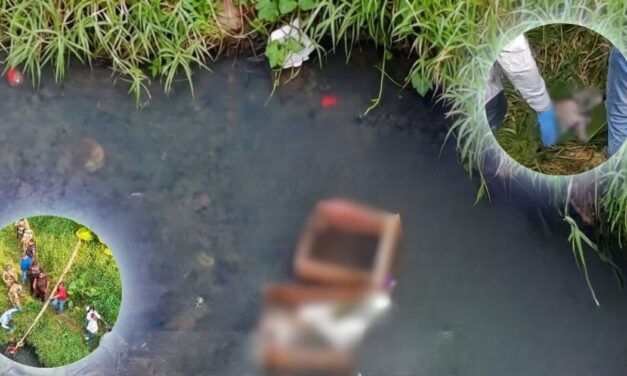 Localizan feto dentro de una caja de madera en arroyo de Coatzintla