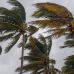 Se pronostica evento de Surada y Norte en los próximos días para el Estado de Veracruz