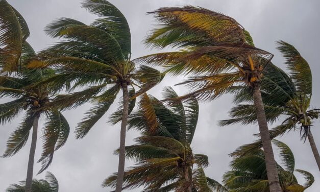 Se pronostica evento de Surada y Norte en los próximos días para el Estado de Veracruz