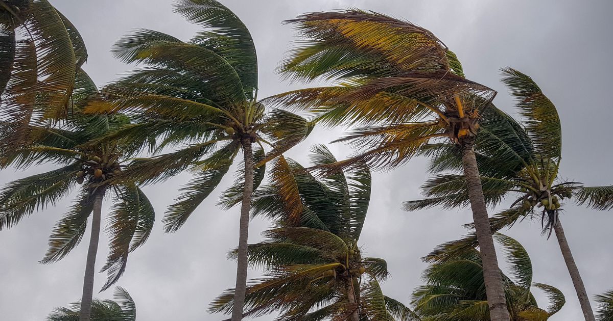 Se pronostica evento de Surada y Norte en los próximos días para el Estado de Veracruz